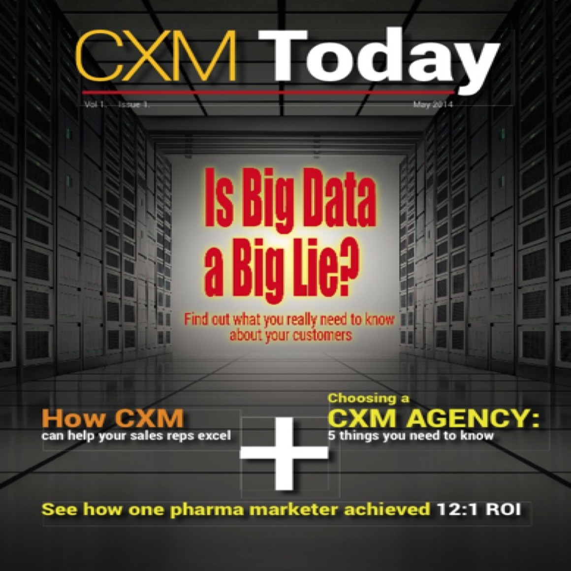 When my agency dove headlong into the Big Data pond, I wrote this mini magazine to help prospective customers take the plunge with us. 
(Page 1 of 5) 